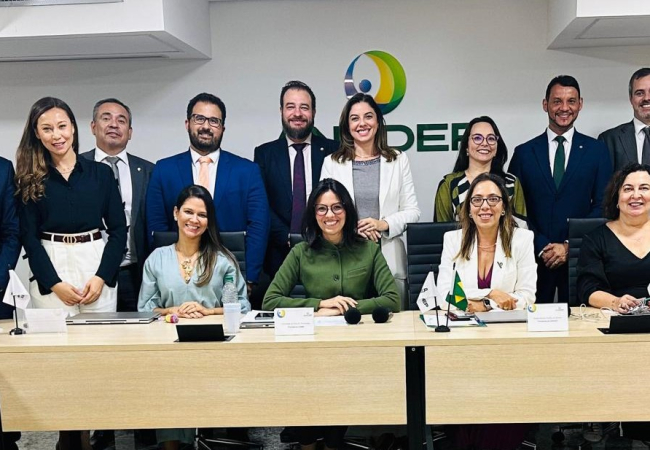 Assembleia Geral Extraordinária da ANADEP aprova Comissão Temática de Justiça Ambiental e Climática