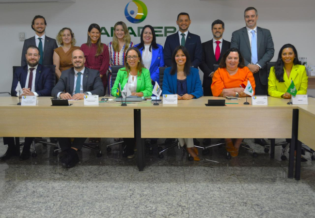 ADPEP participa de assembleia extraordinária na ANADEP, em Brasília-DF