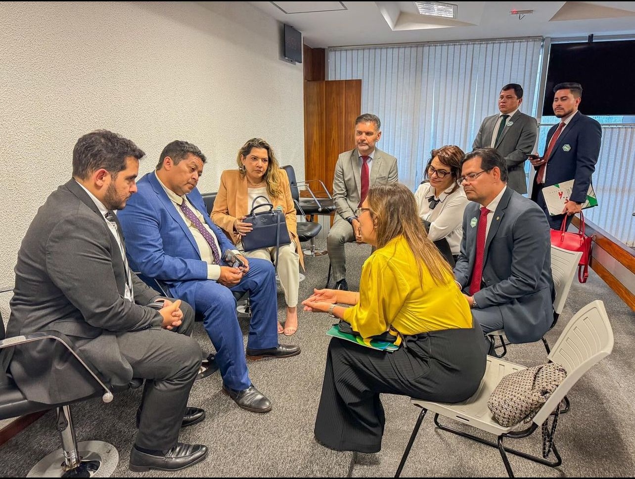 Associações e Defensoria Pública do Pará atuam unidas na luta por melhorias institucionais em Brasilia