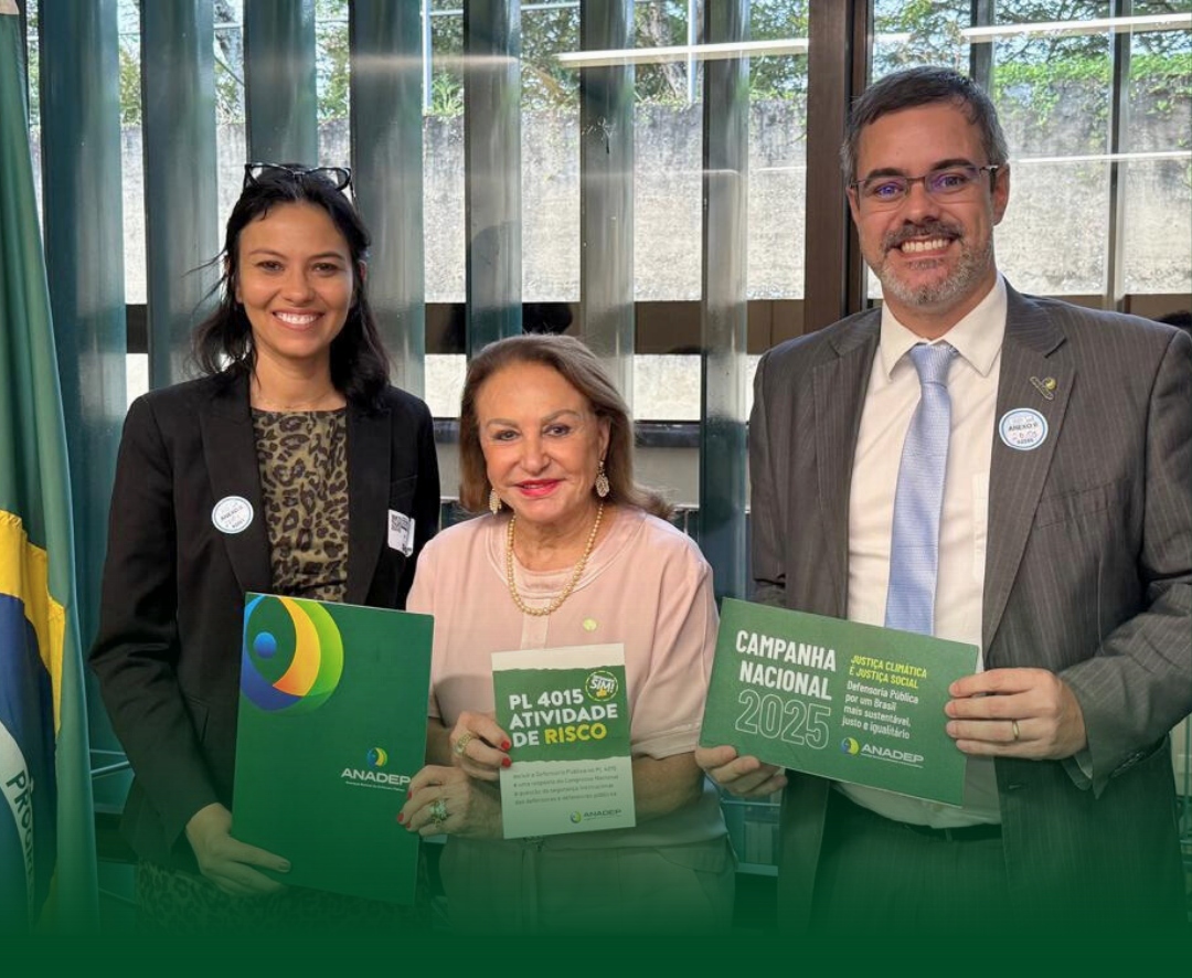 ADPEP e ANADEP visitam Deputada Federal Elcione sobre pautas ambientais e de interesse da categoria