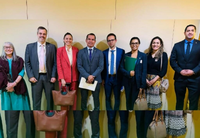 Adpep e Anadep presentes na Câmara dos Deputados em defesa de pautas da categoria