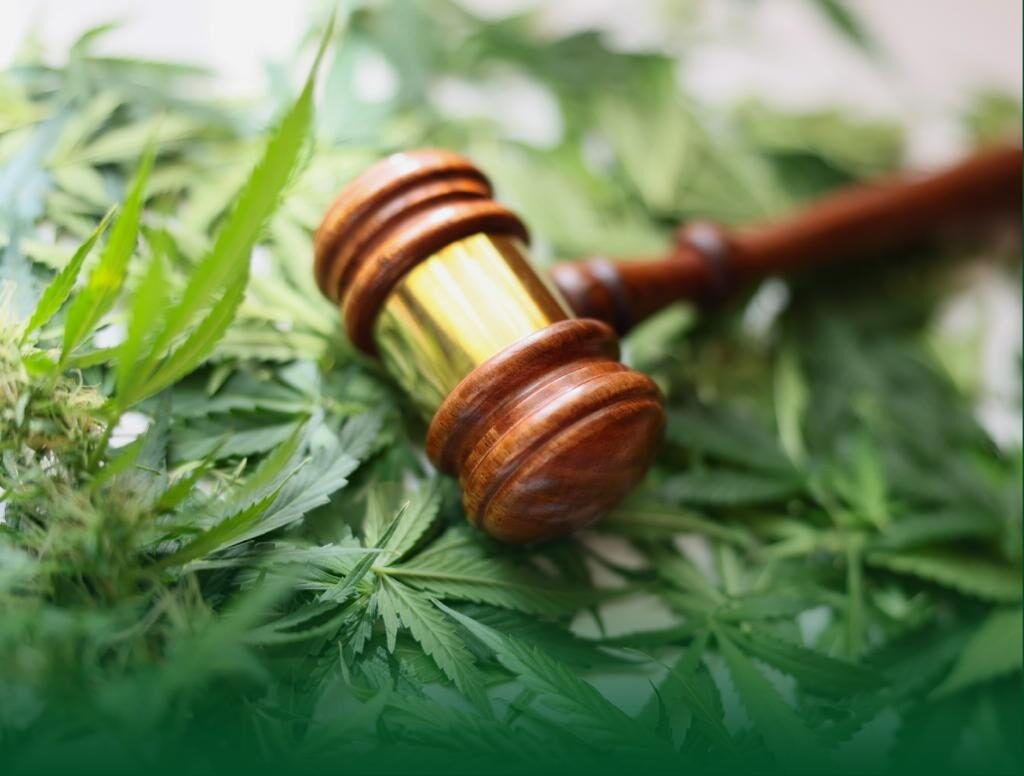 Defensoria obtém no TJPA reconhecimento de não haver crime na posse de maconha em pequena quantidade para consumo pessoal
