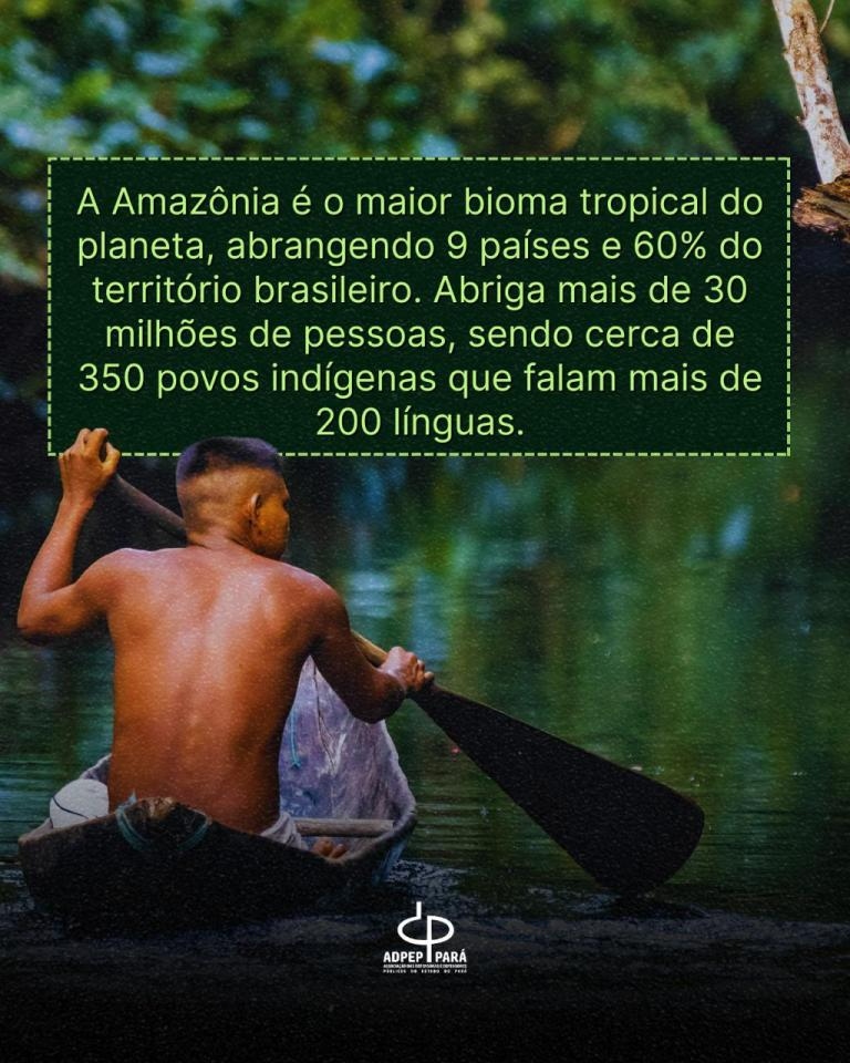 adpep_-_blog_02_-_05-09-25.jpg